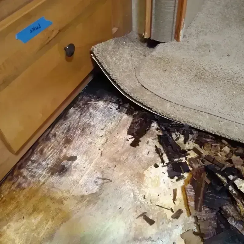 Best Wood Floor Water Damage Service in Hunters Creek, FL